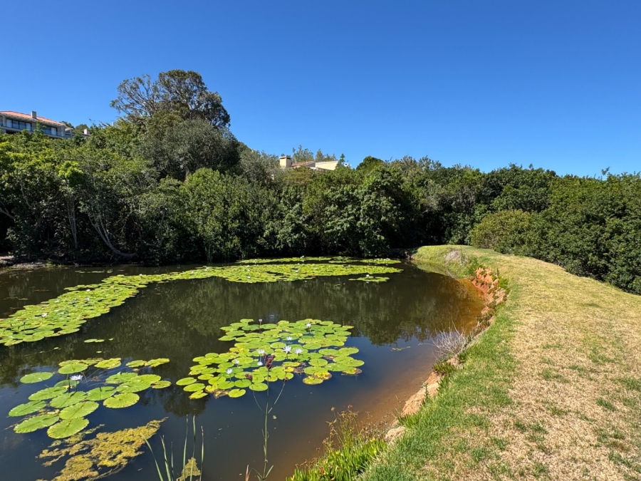 Commercial Property for Sale in Schoongezicht Western Cape